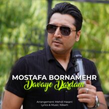 دانلود آهنگ جدید مصطفی برنامهر به نام دوای دردم